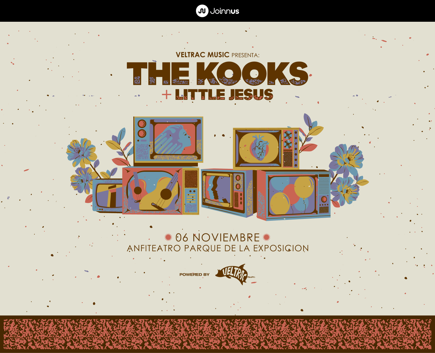 The Kooks 